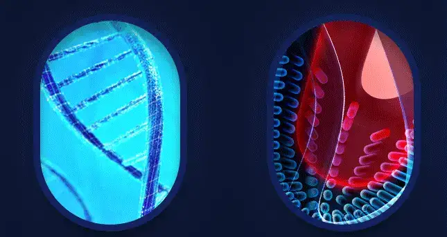 Máy Rung Dương Vật Cao Cấp Cho Nam Lâu Ra Làm Nữ Sướng DC33K may rung duong vat cao cap cho nam quan he lau ra kich thich am vat nu DC33K 9